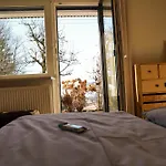 Apartment Am Bach, Riefensberg, Bregenzerwald Riefensberg