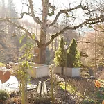 Daire Am Bach, Riefensberg, Bregenzerwald