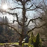 Am Bach, Riefensberg, Bregenzerwald