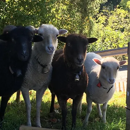 Appartamento Am Bach, Riefensberg, Bregenzerwald *