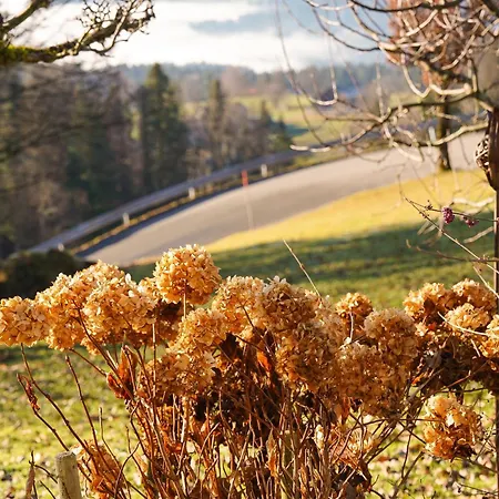 Am Bach, Riefensberg, Bregenzerwald *