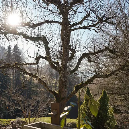 Am Bach, Riefensberg, Bregenzerwald